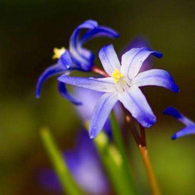 星空体育APP下载手机版