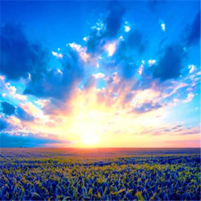 澳门新葡澳京app下载截图